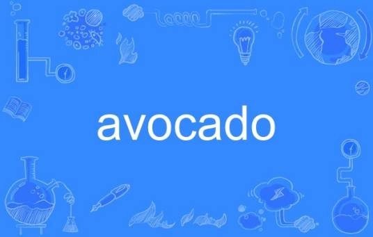Avocado（英语单词）