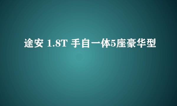途安 1.8T 手自一体5座豪华型