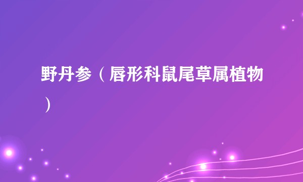 野丹参（唇形科鼠尾草属植物）