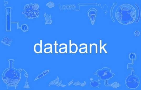 databank(英语单词)