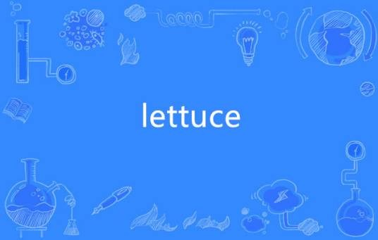 lettuce