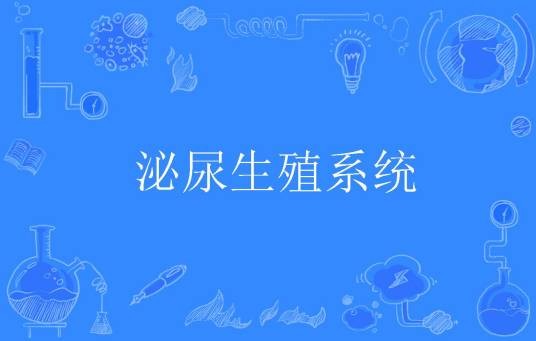泌尿生殖系统