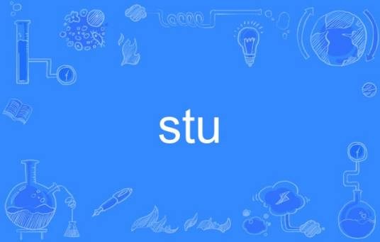 stu（英语单词）