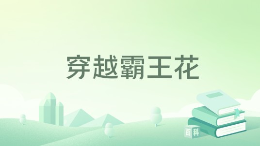穿越霸王花（宋暖著网络小说）
