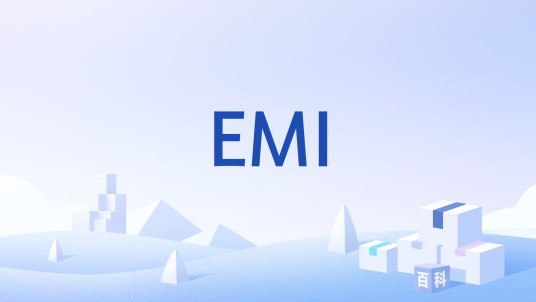 EMI(外部存储器接口)