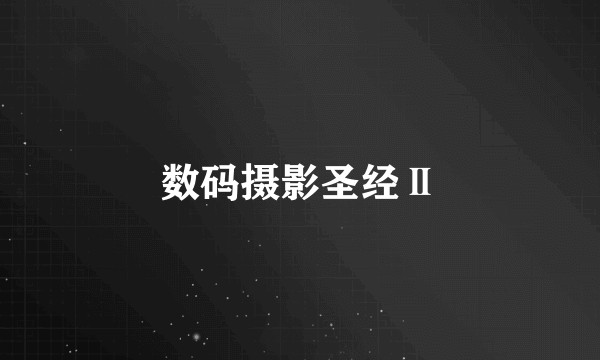 数码摄影圣经Ⅱ