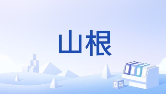 山根（中医术语）