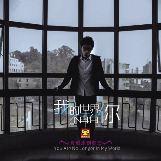 我的世界不再有你（2014年舟瑜演唱的歌曲）