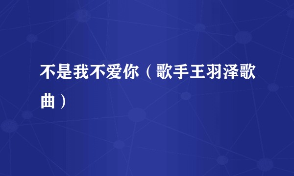 不是我不爱你（歌手王羽泽歌曲）