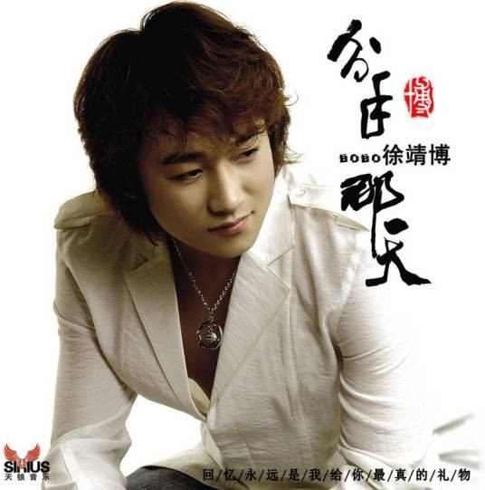 回来我的爱（2009年徐靖博的歌曲）