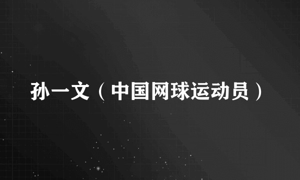 孙一文(中国网球运动员)