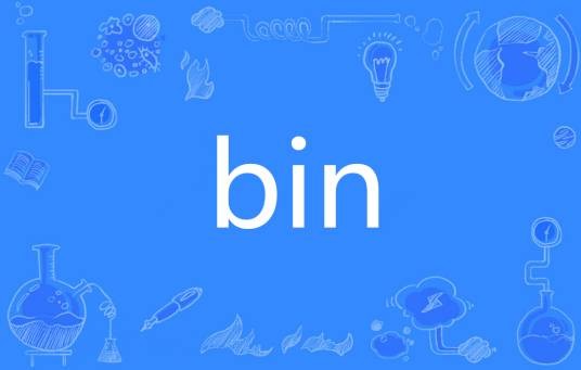 bin（英语单词）