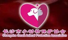长沙市小动物保护协会