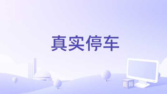 真实停车
