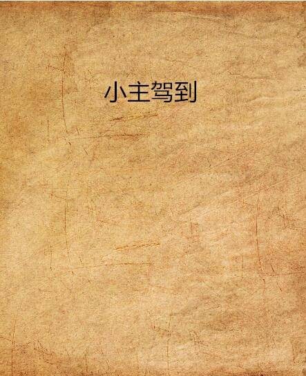 小主驾到（独眼三儿创作的网络小说）