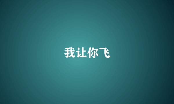 我让你飞