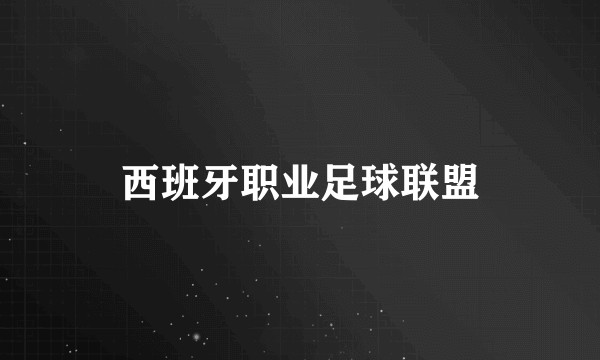 西班牙职业足球联盟
