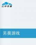 另类游戏