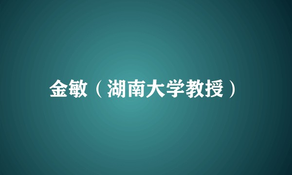 金敏（湖南大学教授）