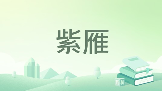 紫雁（2007年内蒙古人民出版社出版的图书）