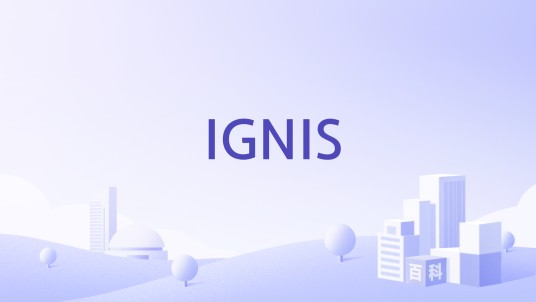 IGNIS（日本美妆品牌）