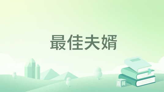 最佳夫婿(大宋剑客著网络小说)