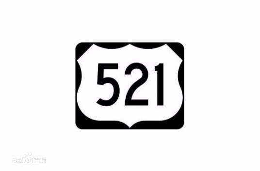 521(数字)