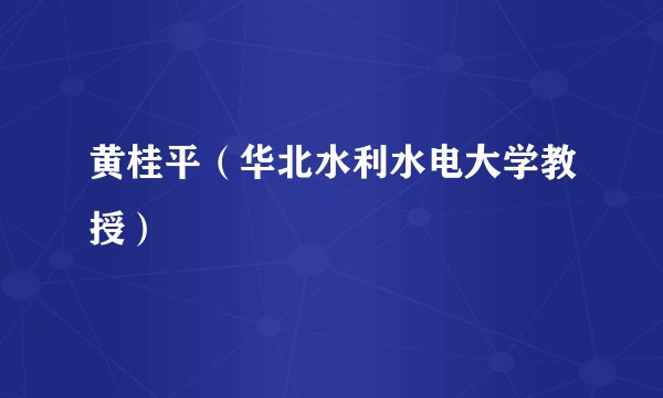 黄桂平（华北水利水电大学教授）