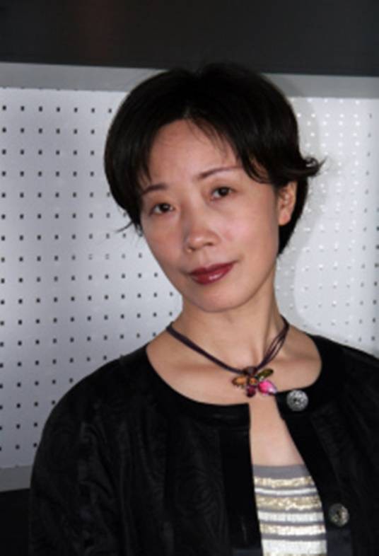 陈薇（东南大学建筑学院教授）