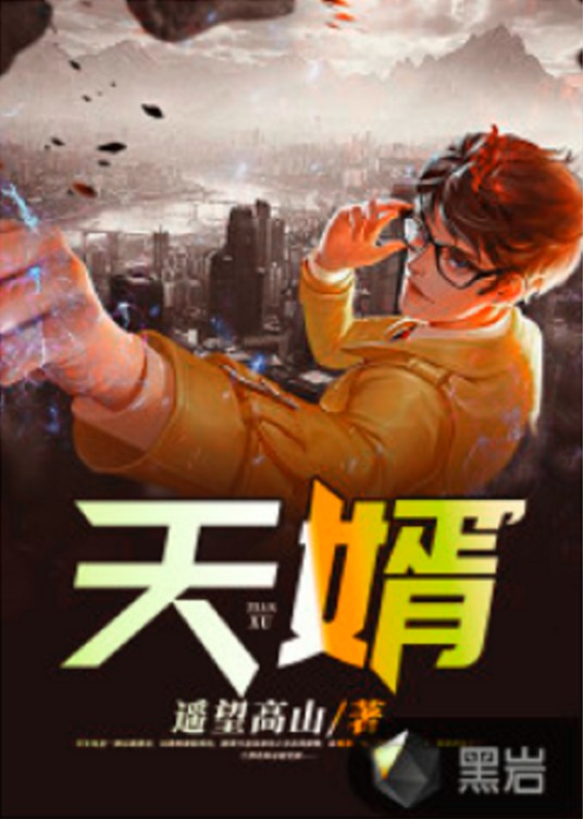 天婿（遥望高山创作的玄幻类网络小说）