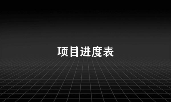 项目进度表