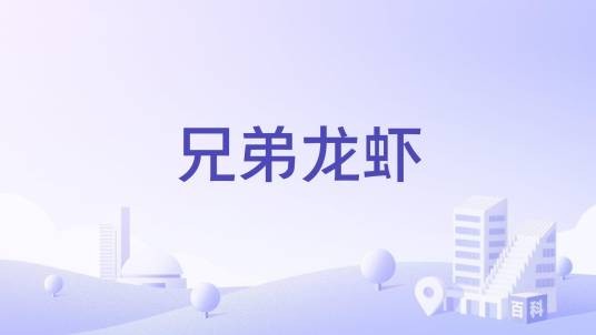 兄弟龙虾