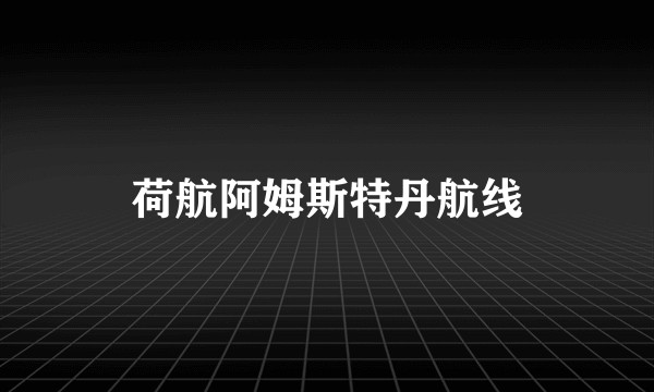 荷航阿姆斯特丹航线